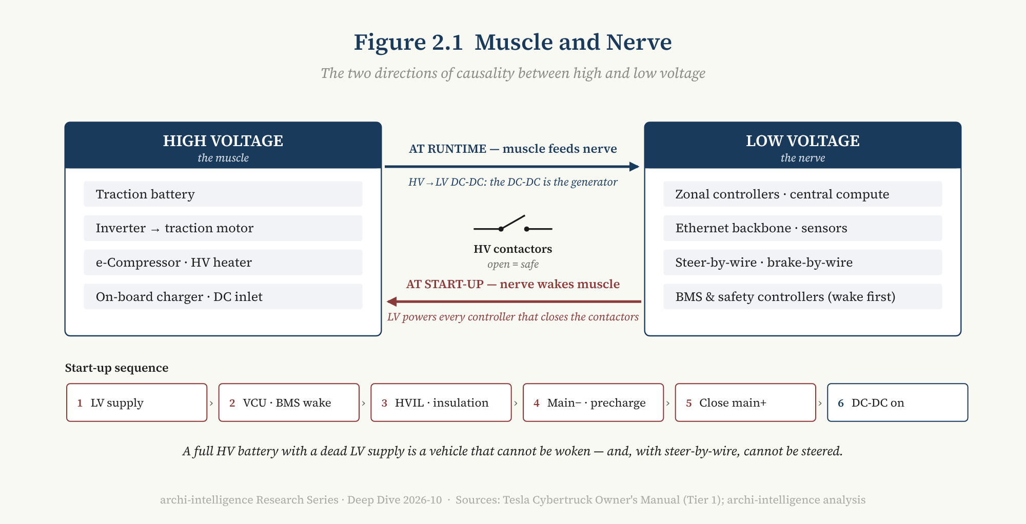 Figure 2.1 Muscle and Nerve: the two directions of causality between high and low voltage